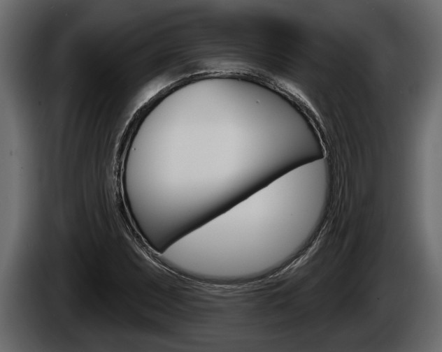 X0000086001071200703230844
