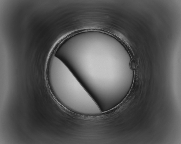 X0000086001072200703230844