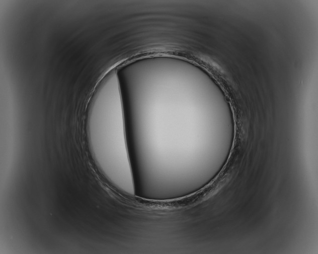 X0000086001073200703230844