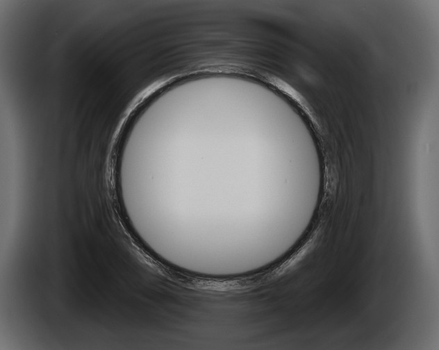 X0000086001074200703230844