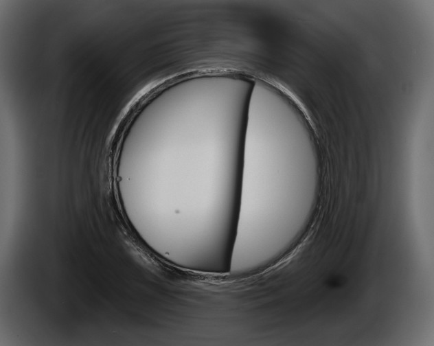 X0000086001075200703230844
