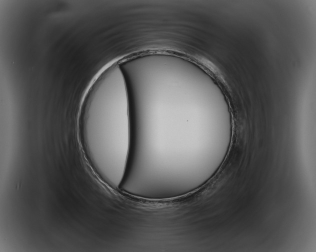X0000086001076200703230844