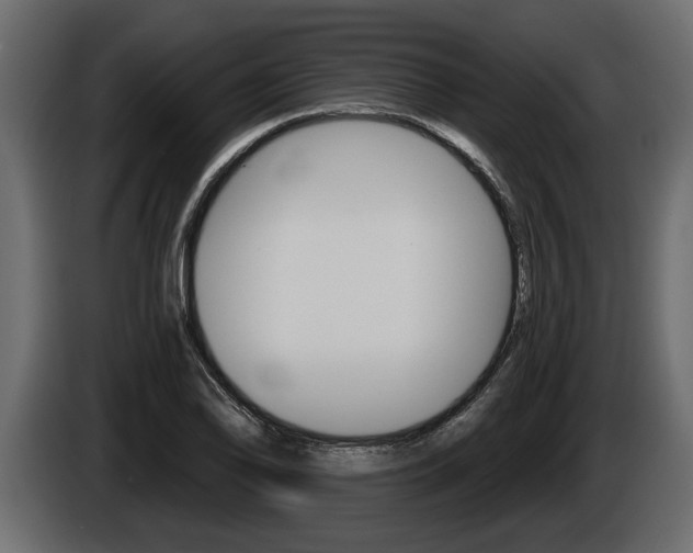 X0000086001078200703230844