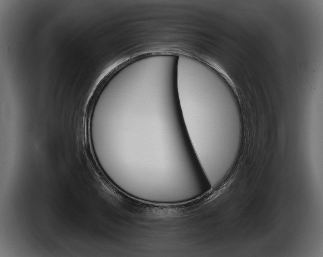 X0000086001079200703230844