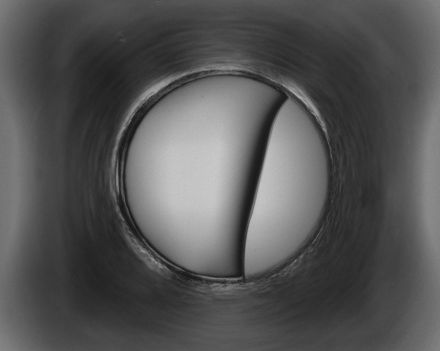 X0000086001080200703230844