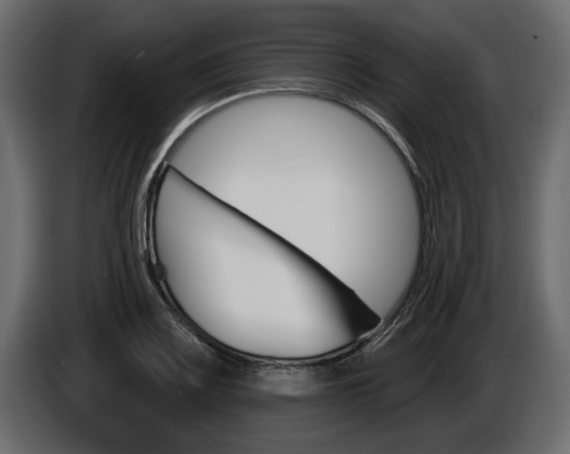 X0000086001083200703230844
