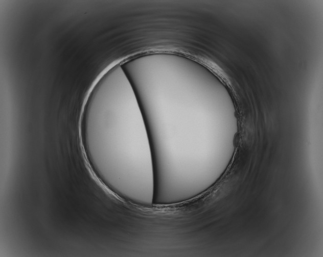 X0000086001084200703230844