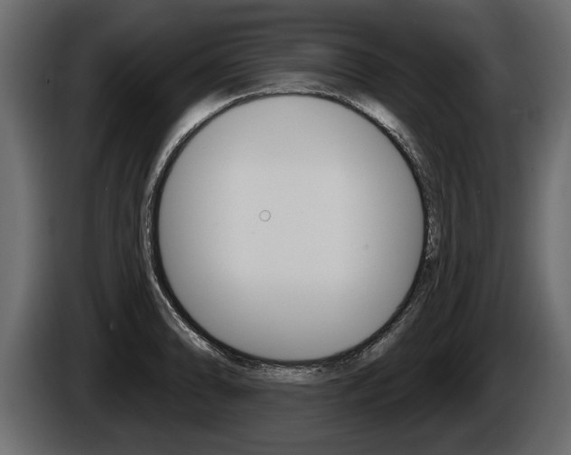 X0000086001086200703230844