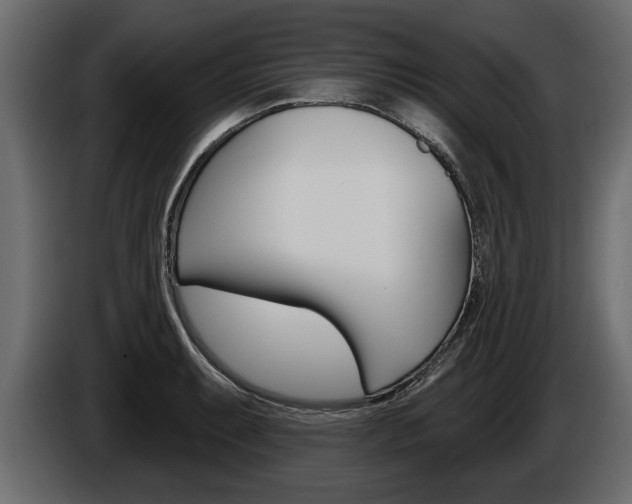 X0000086001087200703230844