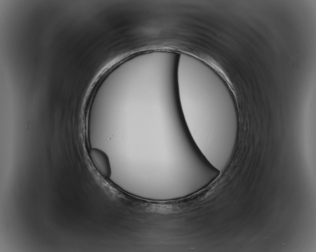 X0000086001088200703230844