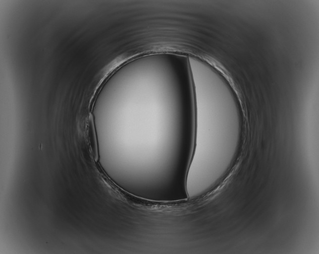 X0000086001089200703230844