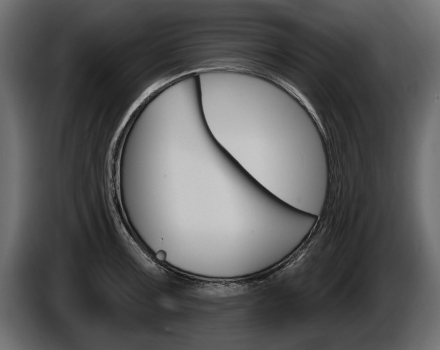 X0000086001091200703230844