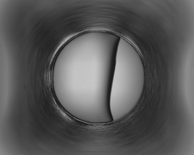 X0000086001092200703230844