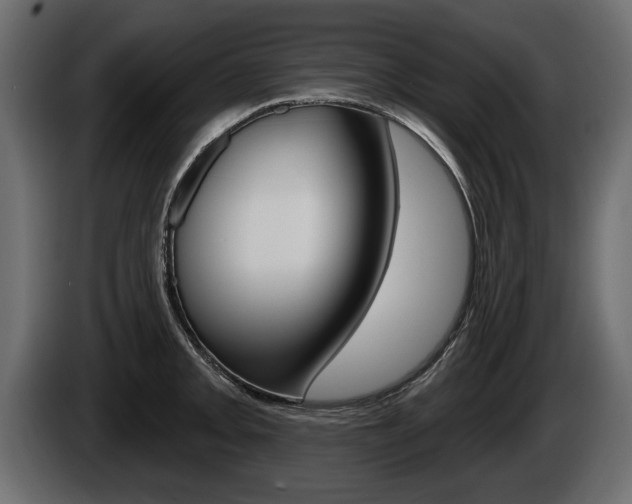 X0000086001093200703230844