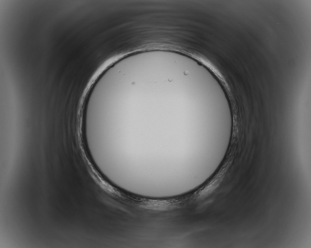 X0000086001094200703230844