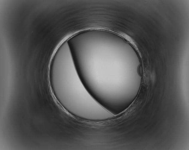 X0000086001096200703230844