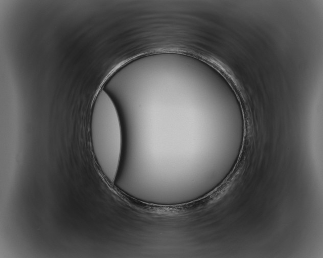 X0000086001097200703230844