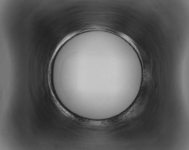 X0000086001098200703230844