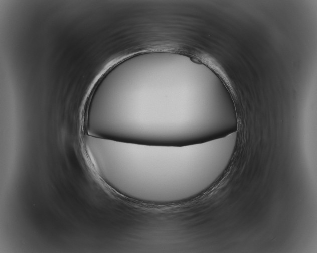 X0000086001099200703230844