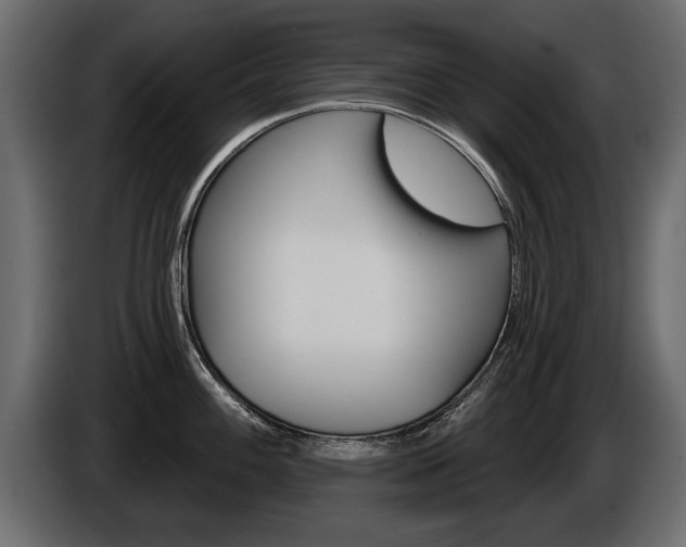 X0000086001100200703230844