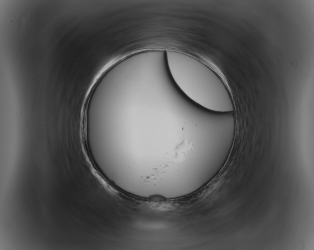 X0000086001103200703230843