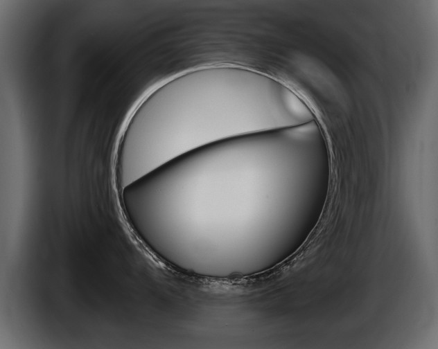 X0000086001104200703230843