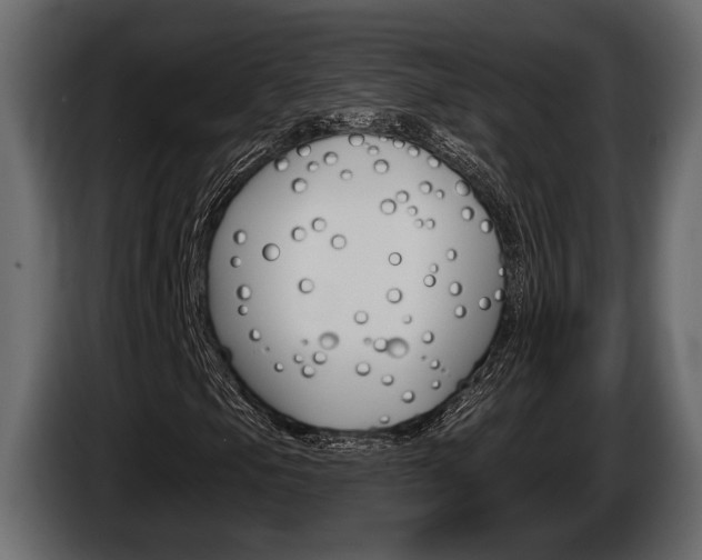 X0000086001105200703230843