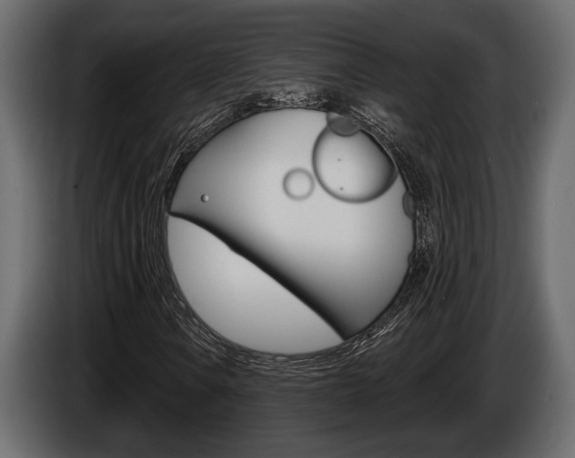 X0000086001106200703230843