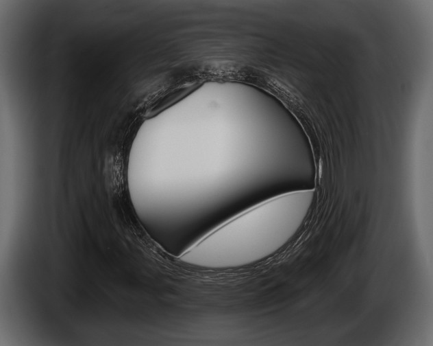 X0000086001107200703230843