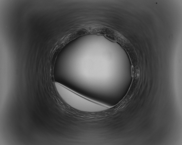 X0000086001108200703230843