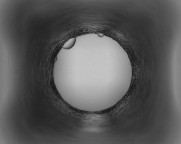 X0000086001109200703230843