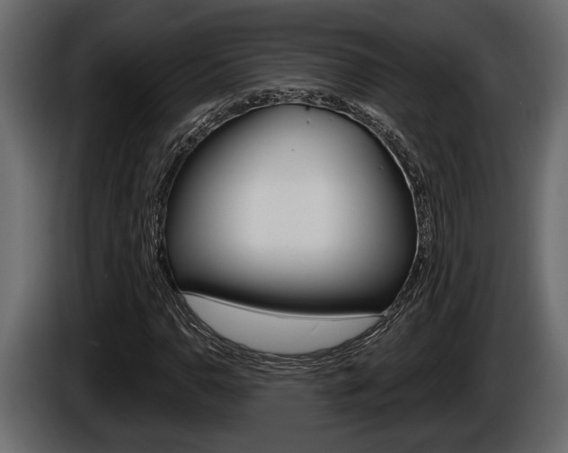 X0000086001110200703230843