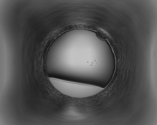 X0000086001111200703230843
