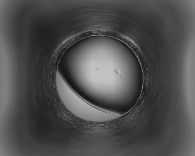 X0000086001112200703230843
