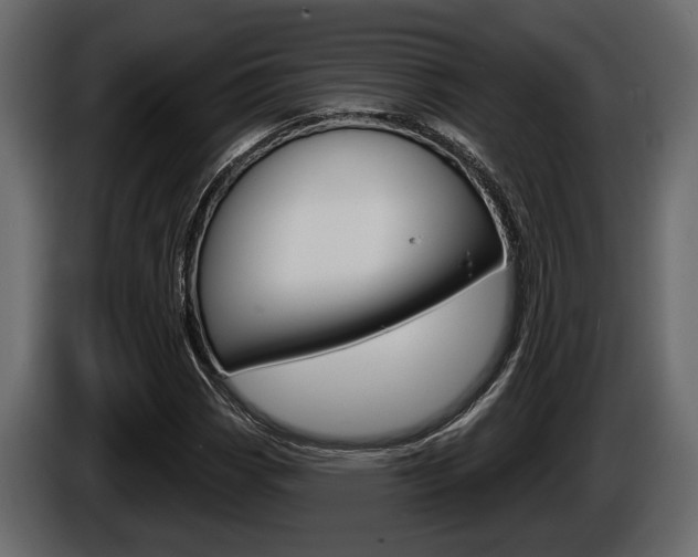X0000086001113200703230843