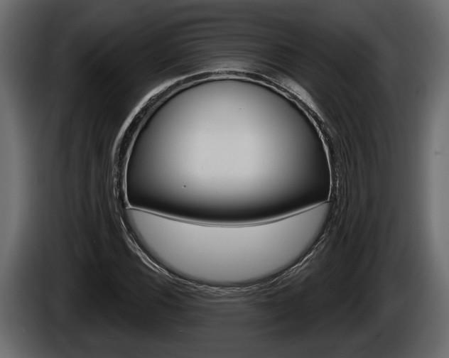 X0000086001116200703230843