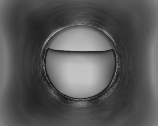 X0000086001117200703230843