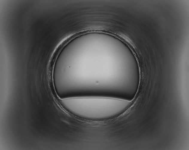 X0000086001119200703230843