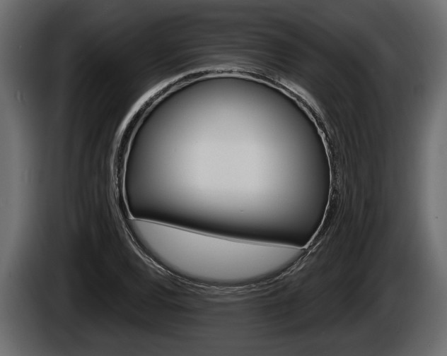 X0000086001120200703230843