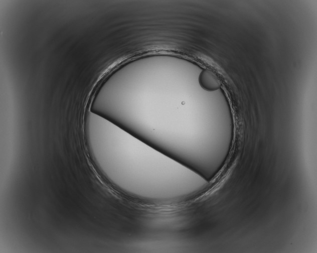 X0000086001121200703230843
