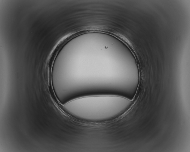 X0000086001123200703230843