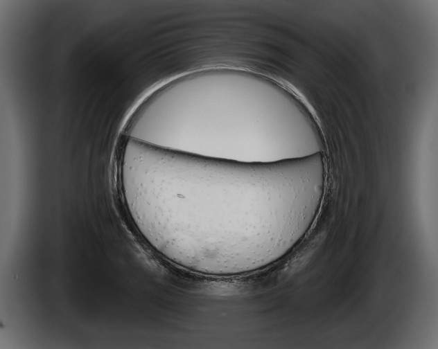 X0000086001125200703230843