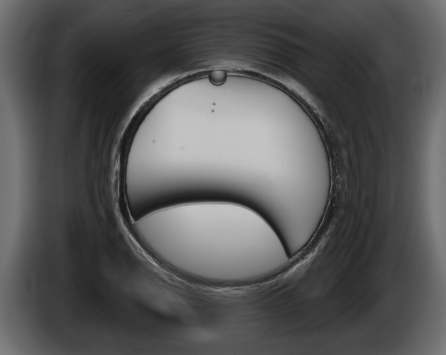 X0000086001126200703230843