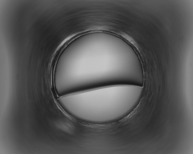 X0000086001127200703230843