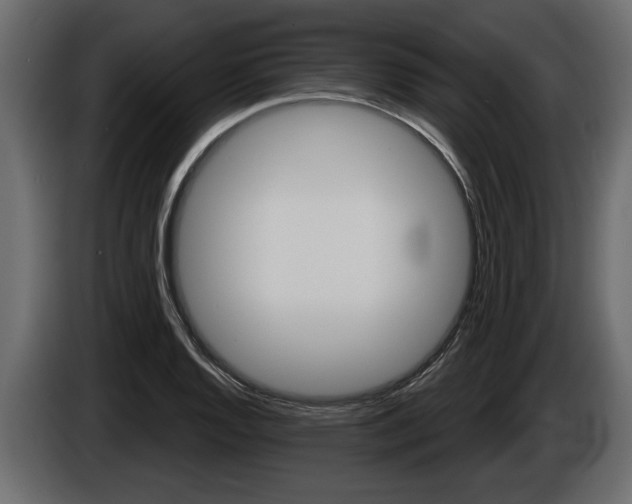 X0000086001128200703230843