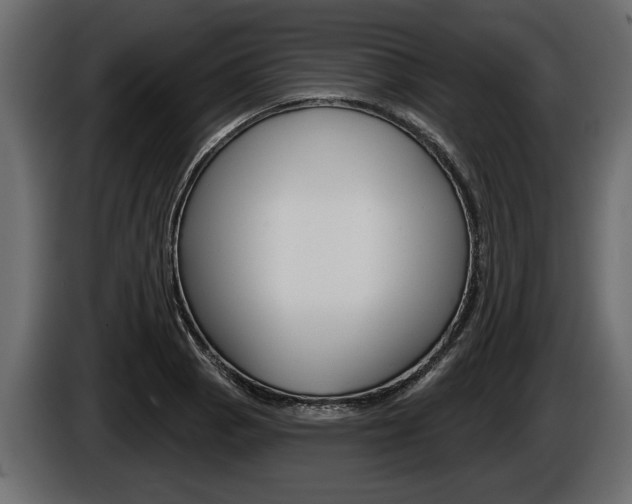 X0000086001129200703230843