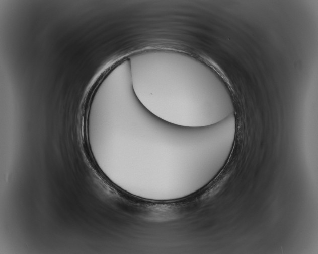 X0000086001130200703230843