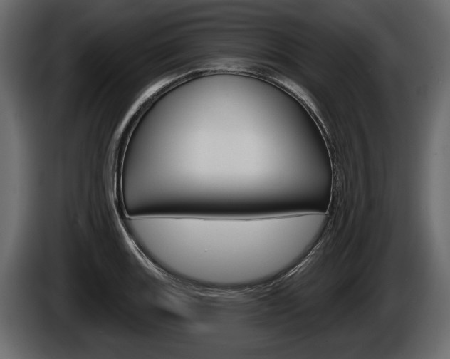 X0000086001131200703230843