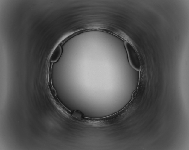 X0000086001132200703230843