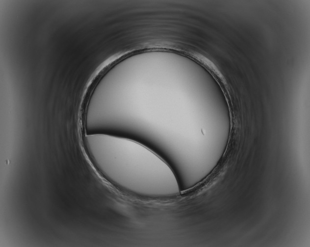 X0000086001133200703230843